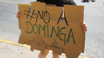   Nuevo capítulo de la teleserie Dominga: Andes Iron retiró acciones judiciales 