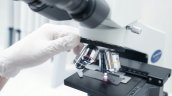 Sofofa y Corfo impulsan la biotecnología chilena en los mercados globales