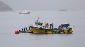 Unidades marítimas buscan a persona desaparecida tras volcamiento de bote en bahía de Concepción