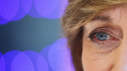 Comisión investigadora sobre los bots invitará a Matthei, Fontaine y 