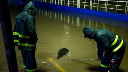 Hombre murió tras inundación de paso bajo nivel en San Bernardo