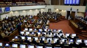 Presupuesto 2027: Diputados cuestionaron recortes en fondos para Ley Ricarte Soto